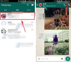 whatsapp发送视频格式,探索WhatsApp视频格式的无限魅力
