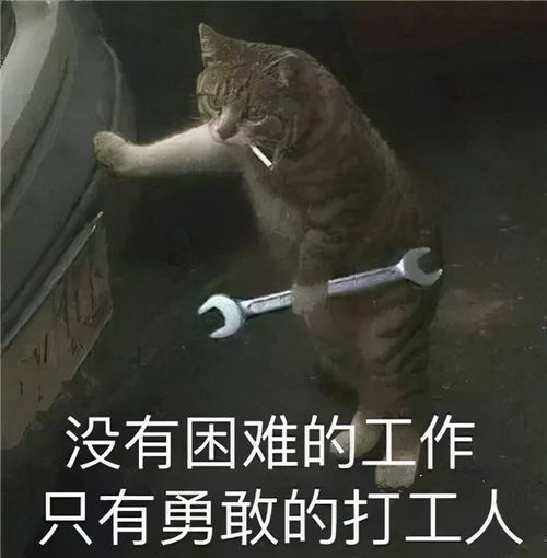 只是游乐场 