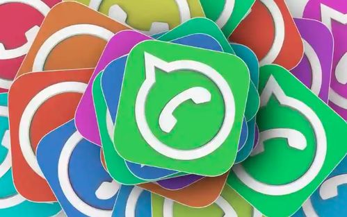 whatsapp wed网页版,便捷沟通的云端新选择
