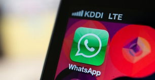 whatsapp发布了图片怎么办,轻松识别并处理发布图片