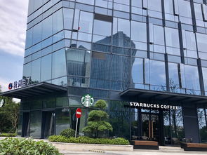 杭州区块链产业园,引领未来金融科技的创新高地