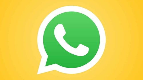 whatsapp 静音,轻松管理消息干扰的秘籍