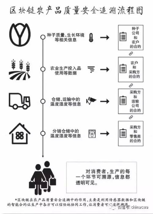 Y线区块链,引领未来金融科技的创新力量