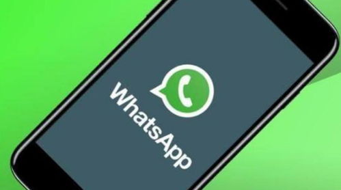 whatsapp官网ios免费下载,畅享即时通讯新体验