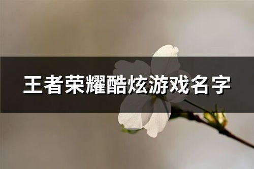 签名设计 