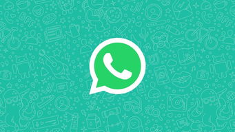 whatsapp的一个钩是什么意思,解锁即时通讯的奥秘