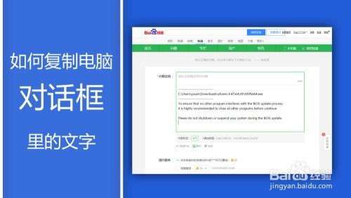 whatsapp对话框如何复制,捕捉即时沟通的精华