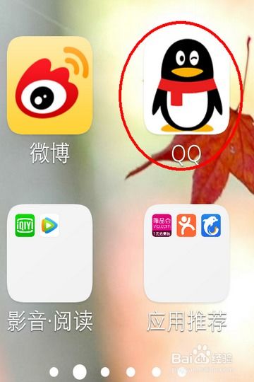 WhatsApp动态共同好友,揭秘共同好友背后的社交秘密