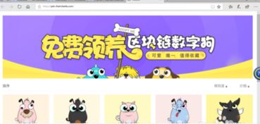 玩区块链宠物,开启虚拟世界新纪元