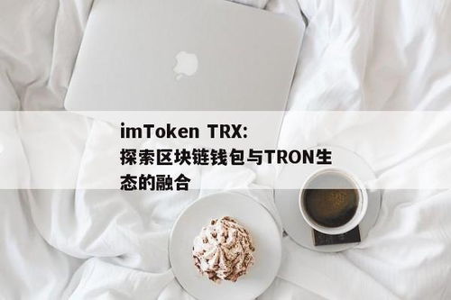 imtoken冲trx,TRX资产高效转换指南