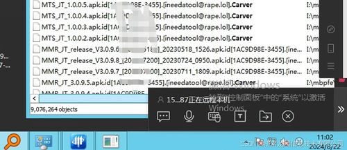 900w加密货币,揭秘其崛起与未来趋势