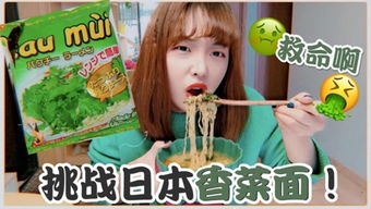 豆豆游侠 