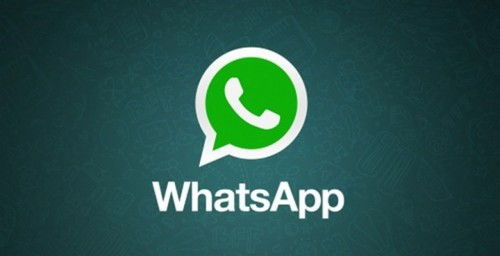 2019免费下载whatsapp,畅享即时通讯新体验
