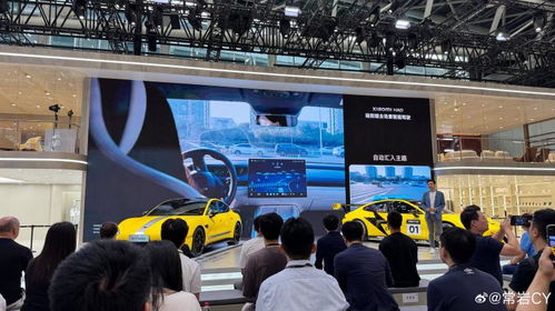 2024不要乱开车游戏官方版中文版 