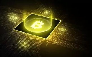 19年加密货币犯罪,2019年加密货币犯罪趋势与案例分析