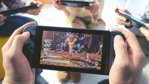 怀德花园switch游戏 