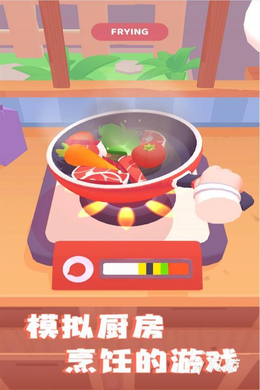新手食谱学做菜 