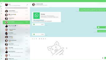 2019年whatsapp可以用吗,2019年WhatsApp使用现状及功能解析
