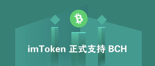 bch在imtoken,BCH在IMToken平台上的便捷操作与投资指南