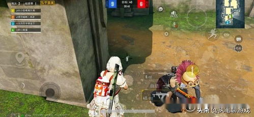 我的土地国王后卫 