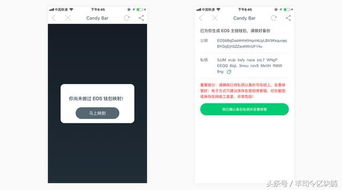 eos ico imtoken,IMToken助力区块链新纪元