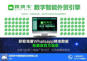 2018最新使用whatsapp,2018年WhatsApp使用趋势与社交变革概述
