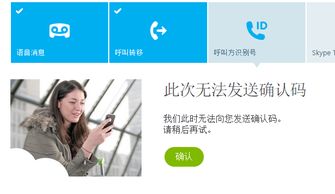 skype 呼叫的号码无效,揭秘Skype呼叫失败之谜