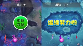 孤独的鸟儿游戏官方版2024下载安装v2.4 
