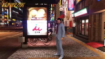 牧场物语双子村官网版 