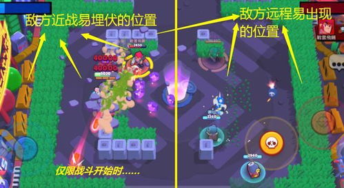 新助邦知识链平台软件最新版下载安装 