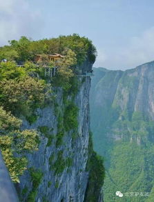 最强弹一弹小游戏 