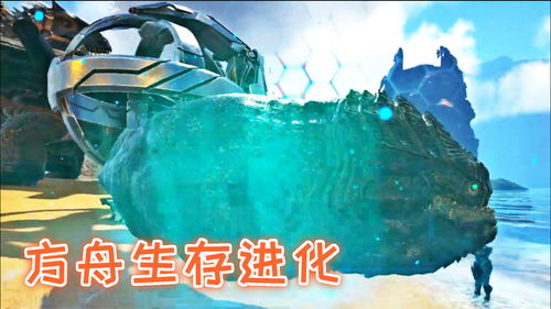 取名宝生肖取名 