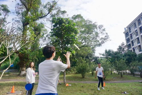 飞盘轨道手机版下载 