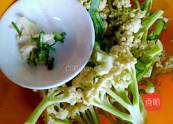 代号花游戏下载