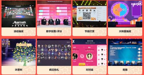 小鸟音乐会游戏 